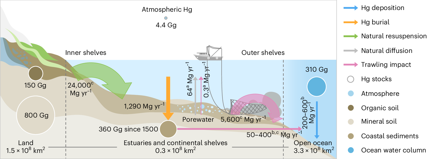 Геохимический цикл ртути в прибрежной зоне Шельфы оказались самым крупным и ненадежным резервуаром ртути