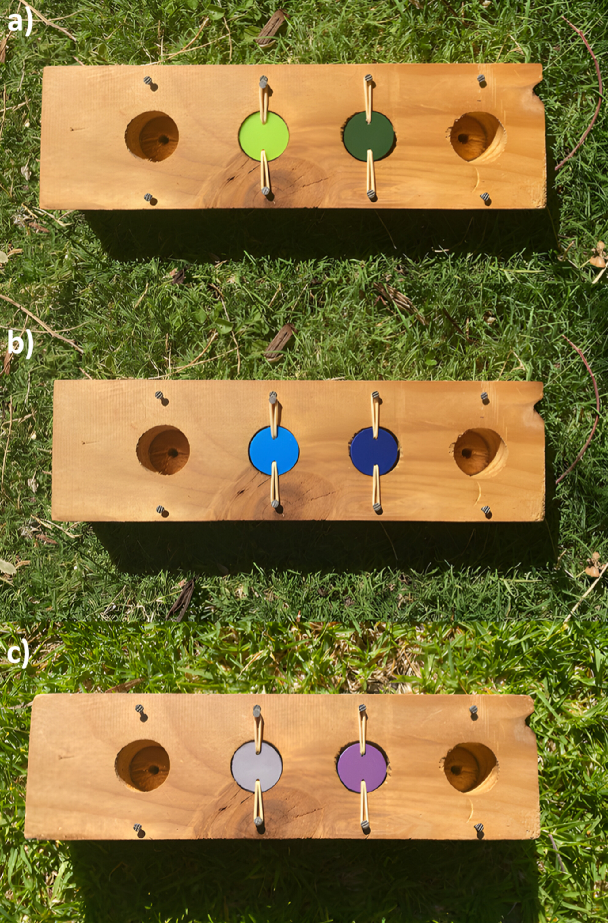 Нападки сородичей в детстве улучшили когнитивные способности ворон-свистунов Нападки сородичей в детстве улучшили когнитивные способности ворон-свистунов