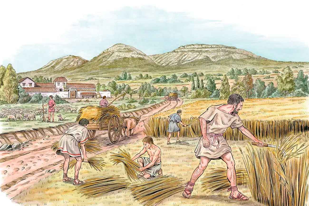 Налоги на урожай, а не сельское хозяйство в целом, подтолкнули людей к созданию первых государств Налоги на урожай, а не сельское хозяйство в целом, подтолкнули людей к созданию первых государств