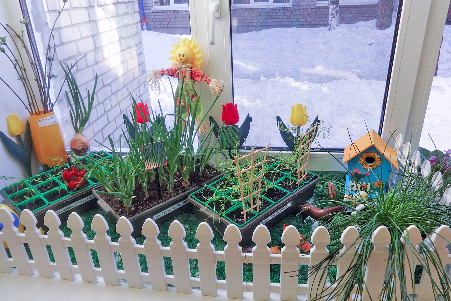 Топ-5 необычных подарков от Деда Мороза, которые удивят и детей, и взрослых Топ-5 необычных подарков от Деда Мороза, которые удивят и детей, и взрослых