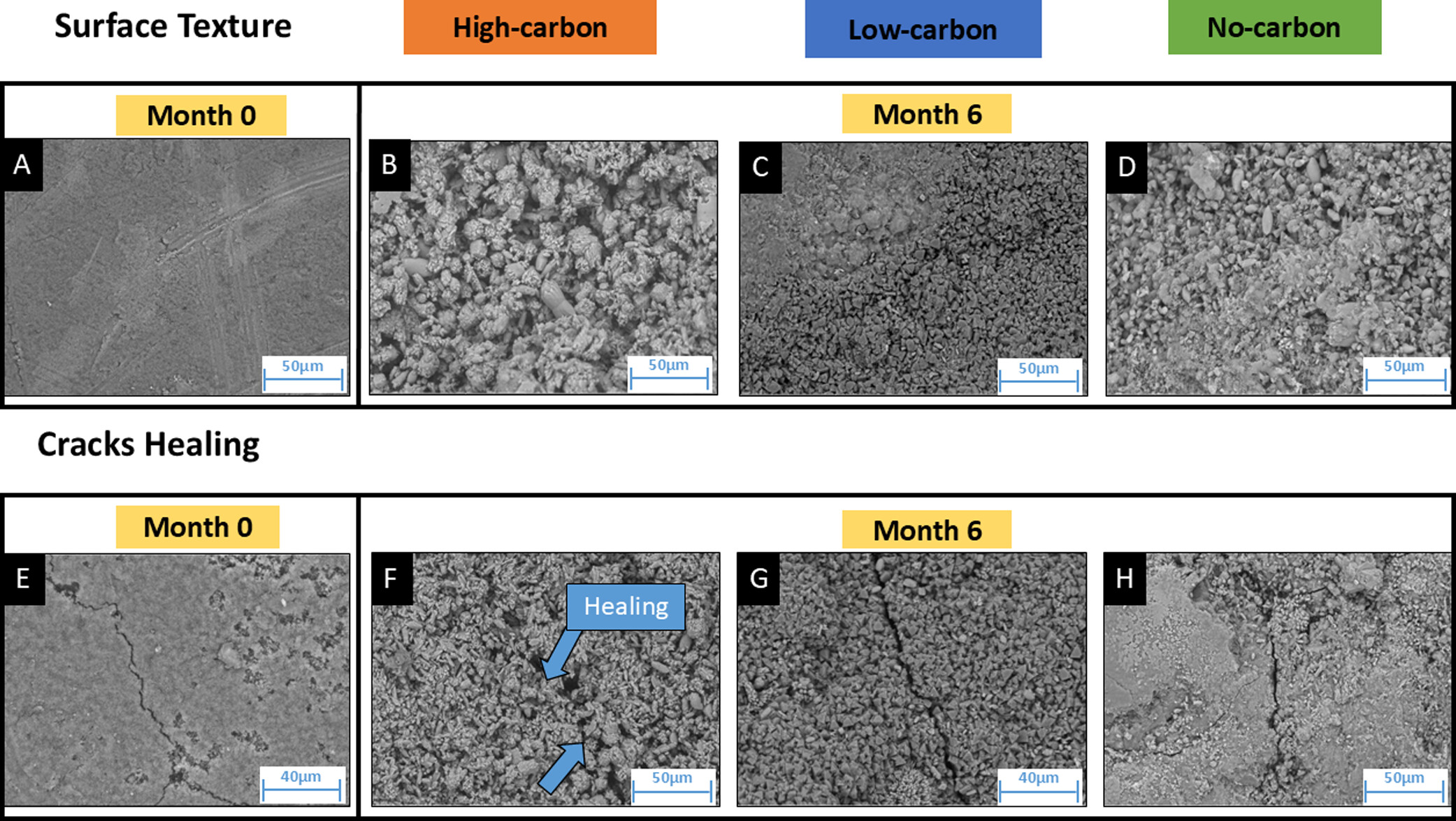 Ученые заставили любящие щелочную среду бактерии залечивать бетон Ученые заставили любящие щелочную среду бактерии залечивать бетон