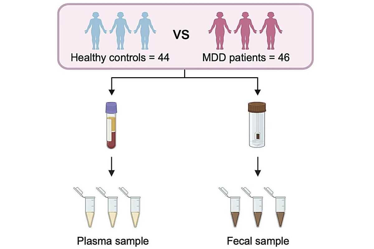 Депрессию у подростков связали с микробиотой кишечника Депрессию у подростков связали с микробиотой кишечника