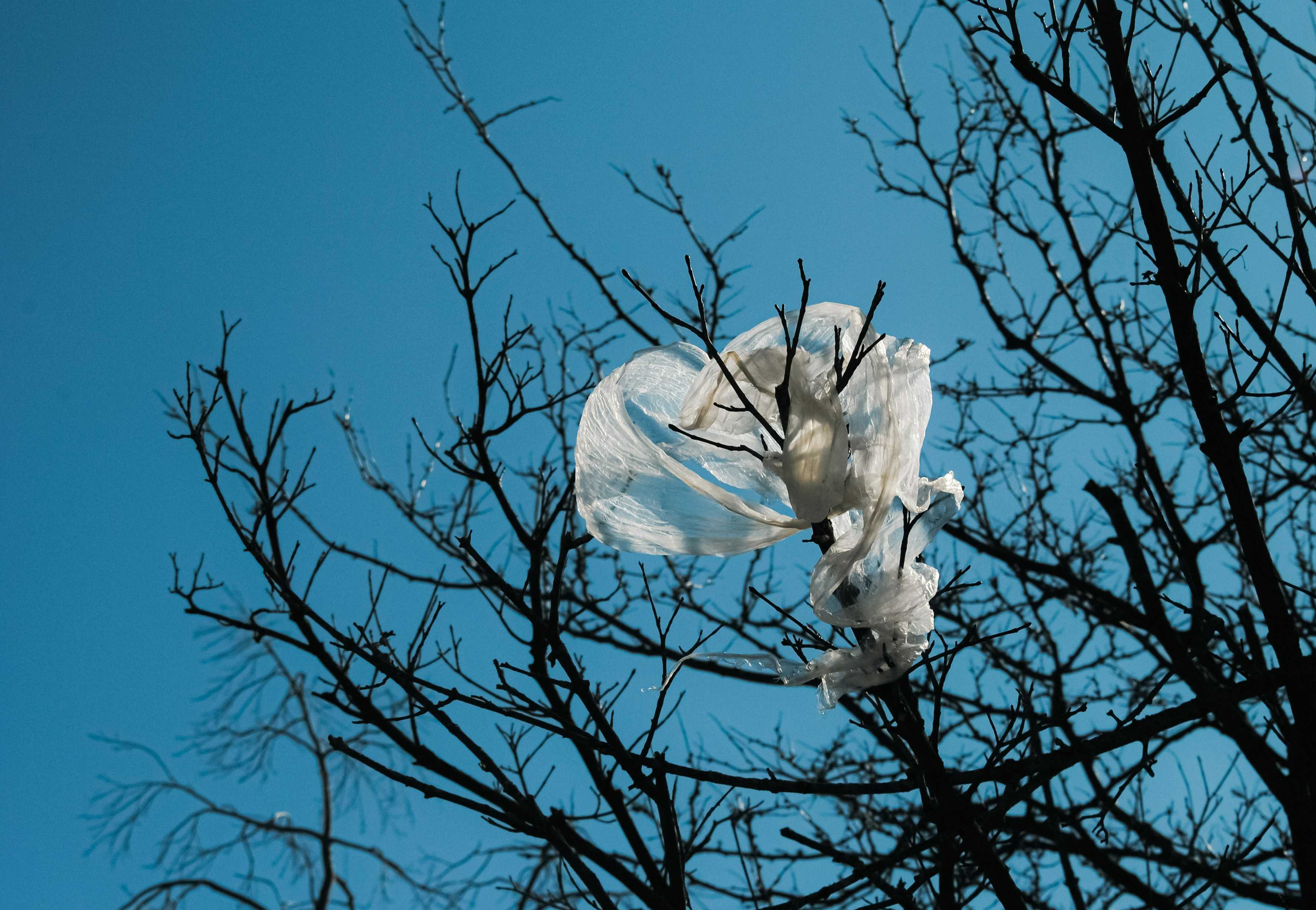 Расчётное количество частиц микропластика в воздухе может быть сильно завышено Атмосферный пластик нуждается в пересчёте