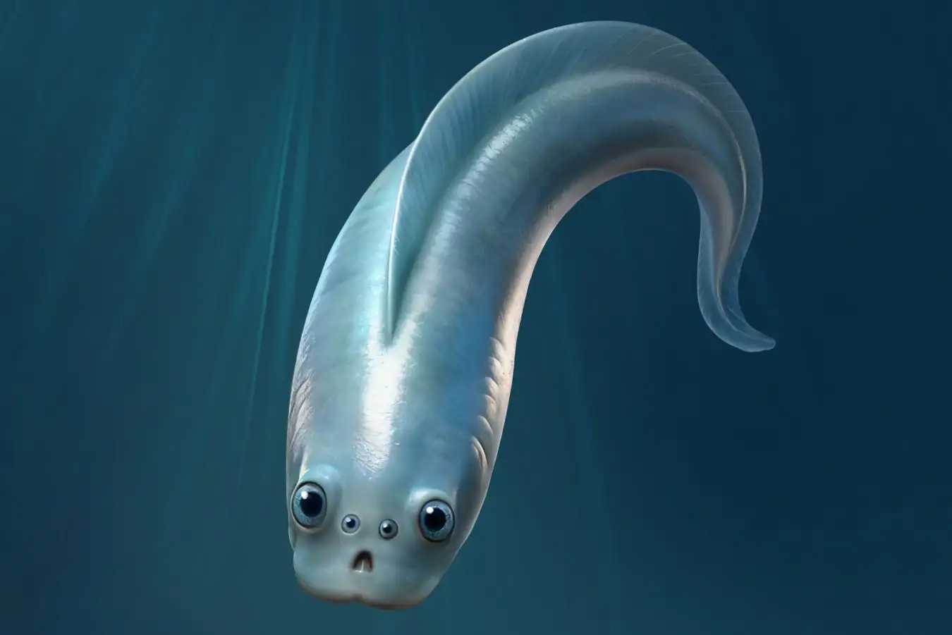 Древнейшие позвоночные развили четыре камероподобных глаза уже полмиллиарда лет назад Древнейшие позвоночные развили четыре камероподобных глаза уже полмиллиарда лет назад