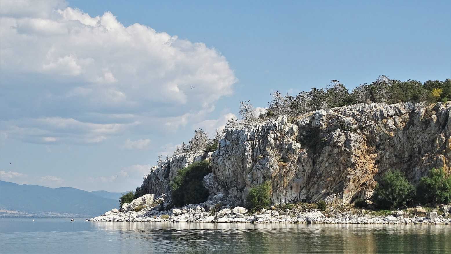 Голем-Град — остров в Северной Македонии, который расположен на озере Преспа Сексуальная агрессия со стороны самцов черепах заставила самок бросаться со скал