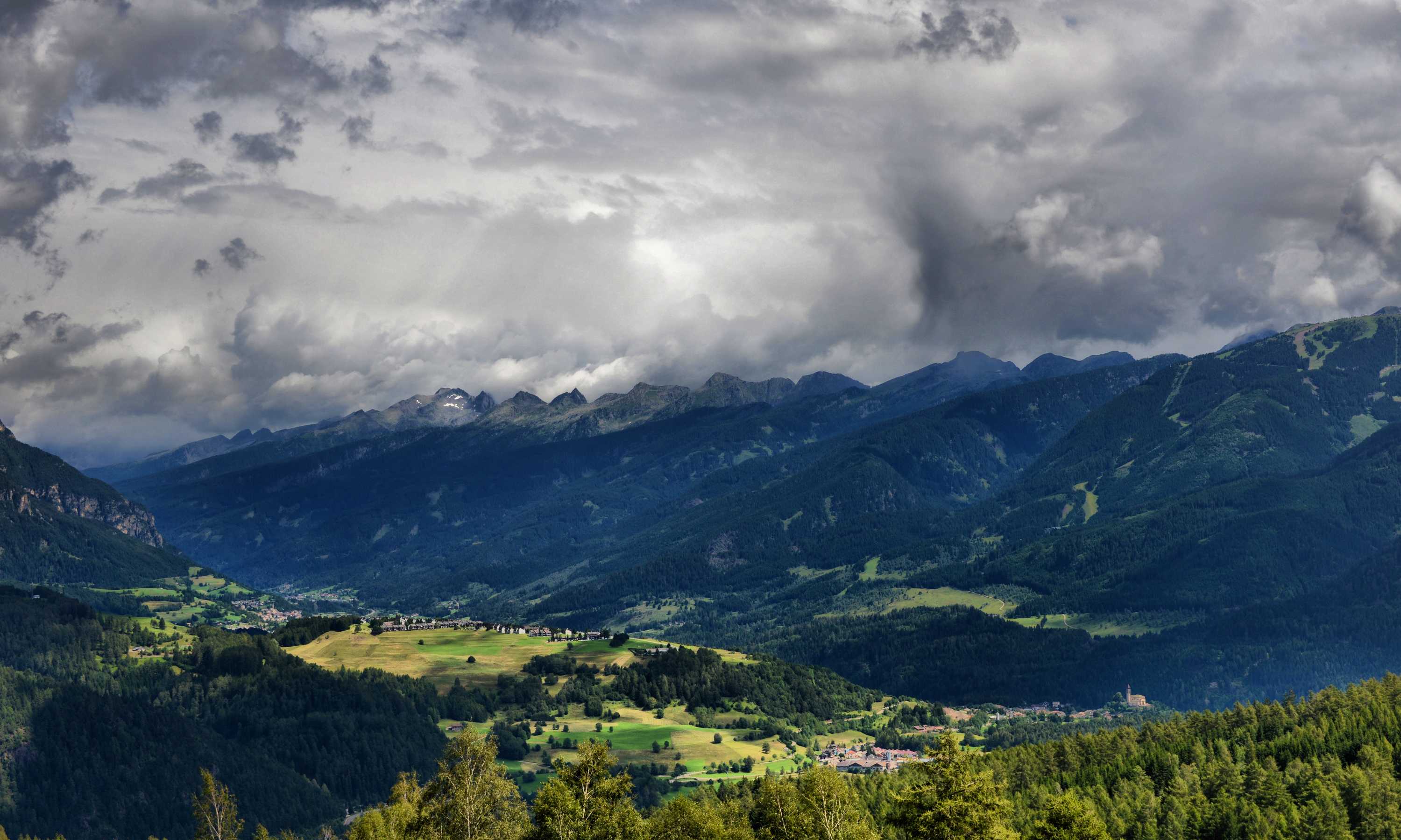 Панорама долины Валь-ди-Фьемме Дендрохронологи рассказали, где Страдивари брал дерево для своих скрипок