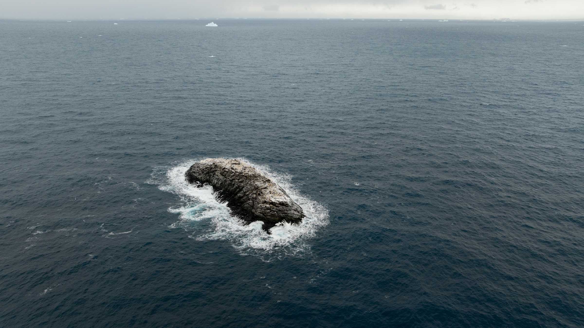 Полярная экспедиция случайно наткнулась на неизвестный остров у берегов Антарктиды Полярная экспедиция случайно наткнулась на неизвестный остров у берегов Антарктиды