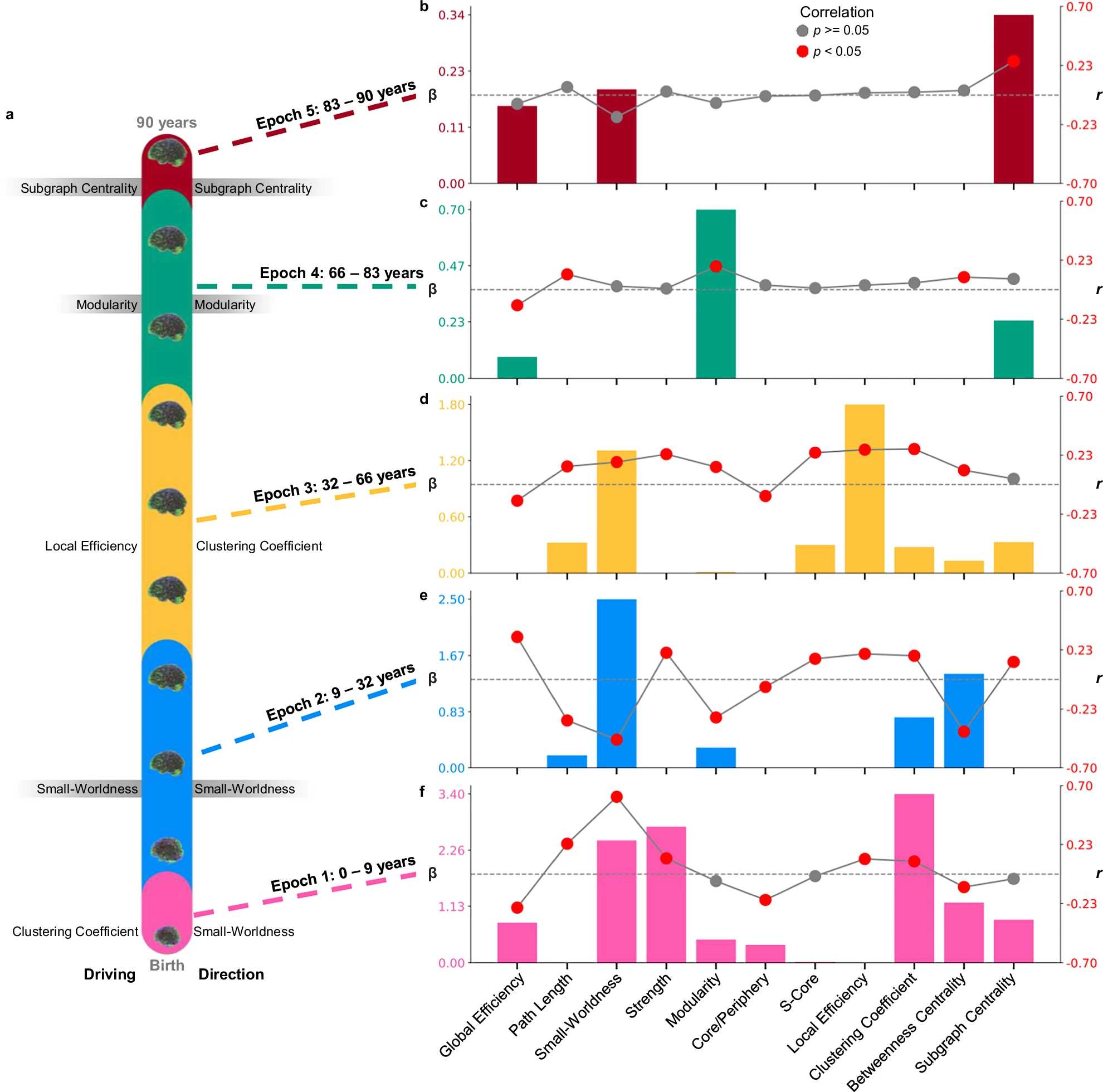 Мозг достигает пика своей активности к 32 годам Мозг достигает пика своей активности к 32 годам