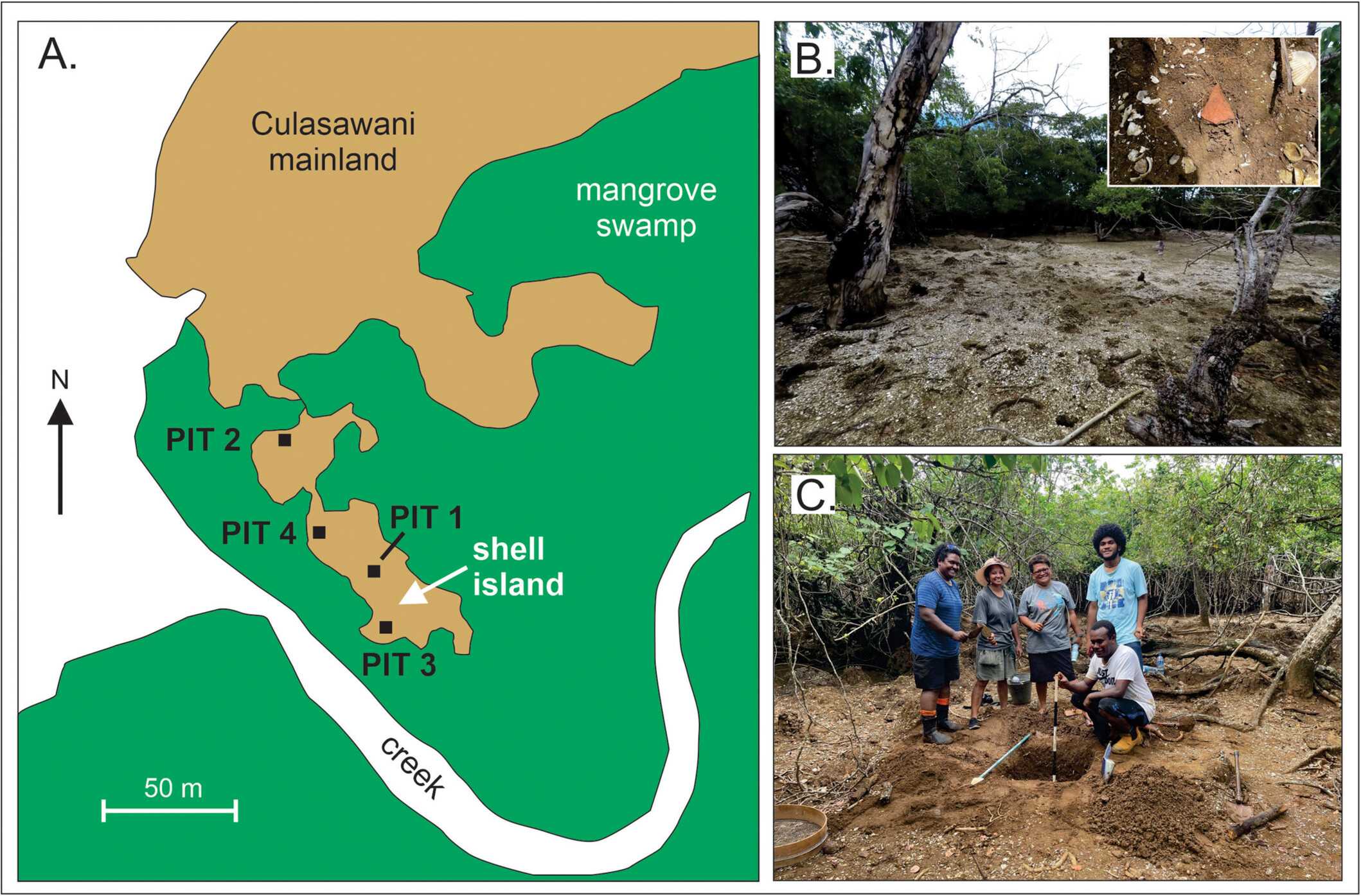 Археологи обнаружили 1200-летний остров из раковин моллюсков, съеденных древними жителями Фиджи Археологи обнаружили 1200-летний остров из раковин моллюсков, съеденных древними жителями Фиджи