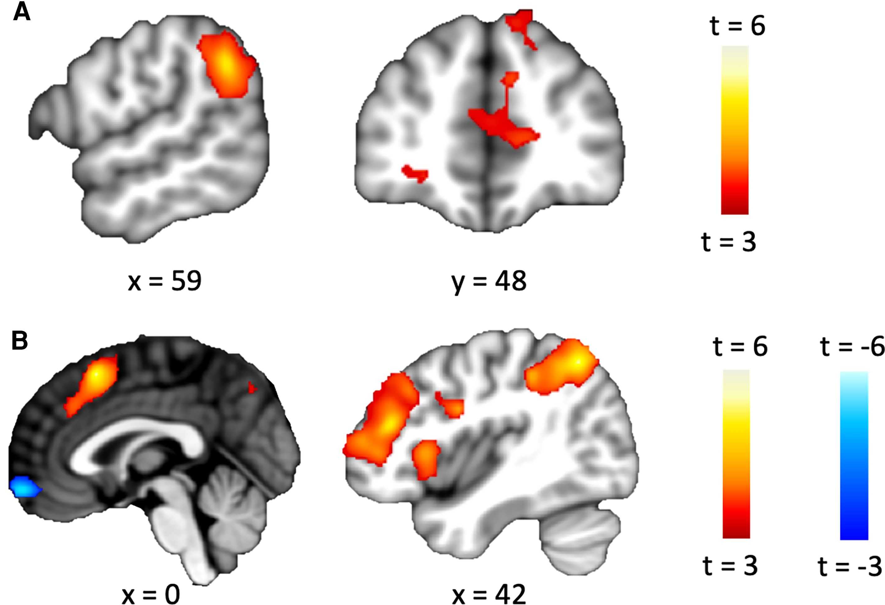 Ради спасения одного от боли студенты пожертвовали группой Ради спасения одного от боли студенты пожертвовали группой