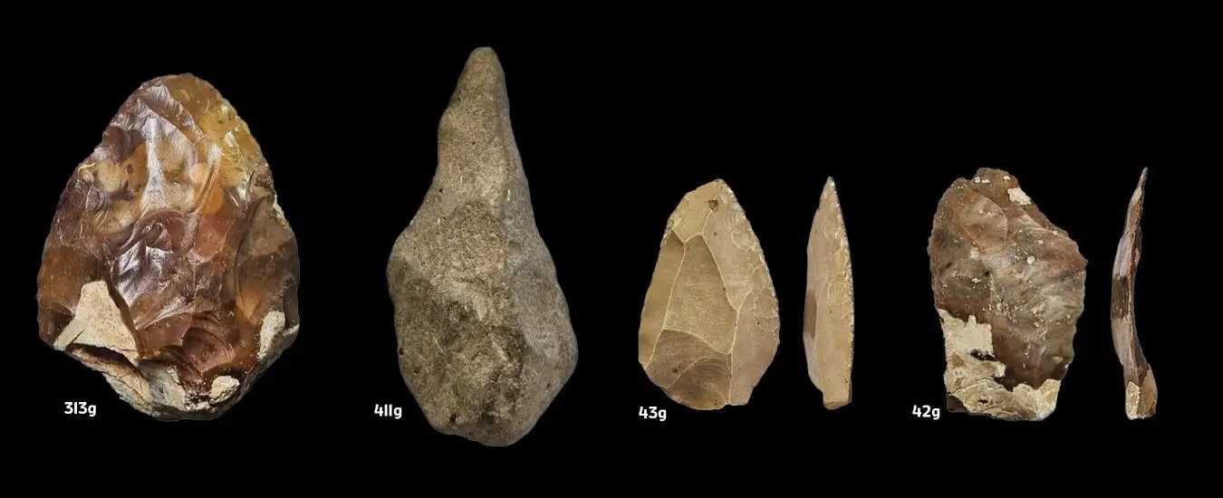Исчезновение мегафауны могло изменить каменные технологии древних людей Исчезновение мегафауны могло изменить каменные технологии древних людей