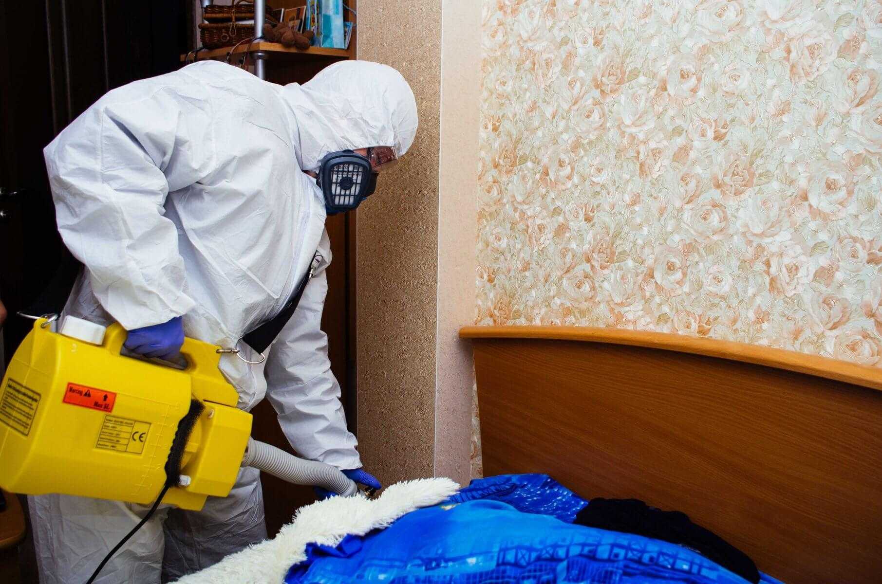 Тараканы в квартире: почему они появляются и почему избавиться от них самостоятельно удается не всегда Тараканы в квартире: почему они появляются и почему избавиться от них самостоятельно удается не всегда